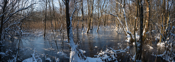 Ahrensburger Tunneltal - Winterlandschaft