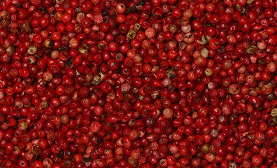 Background of pink peppercorns