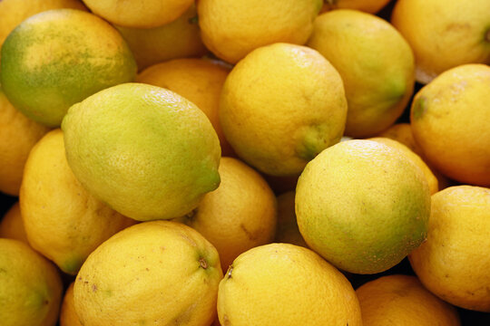 Fresh yellow lemons on market stall