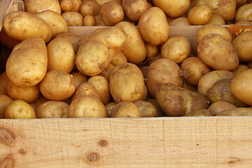 Close up heap of new potato at retail display