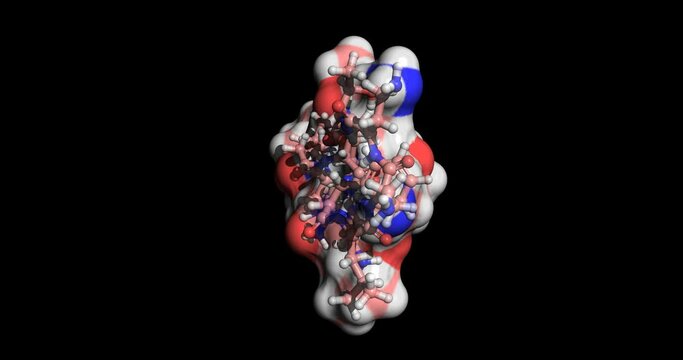 Polymyxin B, antibiotic for treatment of a wide variety of infections, 3D molecule 4K
