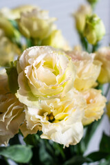 Eustoma flowers close up, vertical orientation