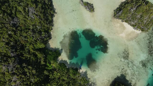 aerial shoot, flight over colourful lagoon with Turquoise water, sand beach and palm trees in Raja Ampat Indonesia