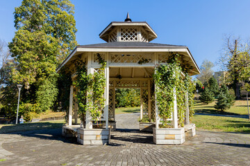 Serene Park Gazebo Surrounded by Greenery on Sunny Day  with Clear Blue Sky