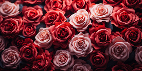 Valentine's Day Theme: A Sea of Deep Red and Pink Roses Symbolizing Romantic Love and Affection
