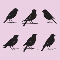 Finch bird set black silhouette vector Clip art