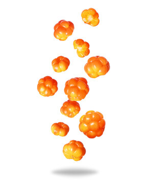 Group of ripe juicy cloudberries close up in the air on a transparent background