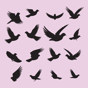 Dove bird set black silhouette Clip art