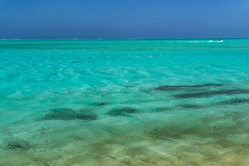 Bora Bora's paradise, French Polynesia