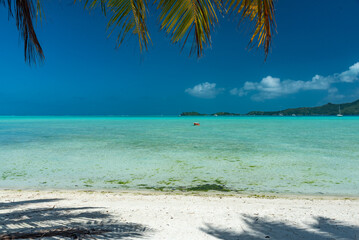 Fototapeta na wymiar Bora Bora's paradise, French Polynesia