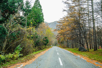 巣栗渓谷へ続く道
