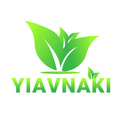 It is a businessmen logo it is made with green color' vector file good front is used