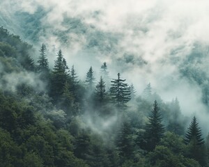 Misty Enchantment: Textured Forest Canopy and Mountain Views - Atmospheric Landscape Paintings