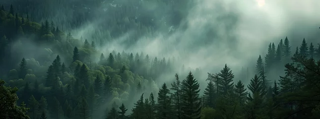 Foto op Plexiglas Mystic Forest Fog: Textured Organic Landscape and Atmospheric Mountain Vista Paintings © Vasilya