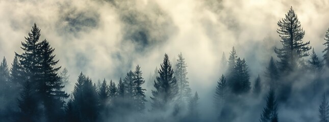 Enchanted Forest Mist: Serene Nature Patterns and Mountain Vistas