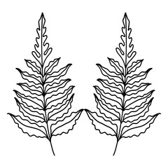 Coloring pictures for children. Black and white picture of a fern leaf.