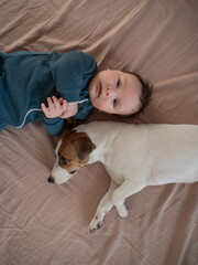 Top view of Jack Russell Terrier dog and three month old boy lying on bed. 