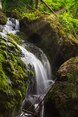 Fototapeta premium waterfall in the forest