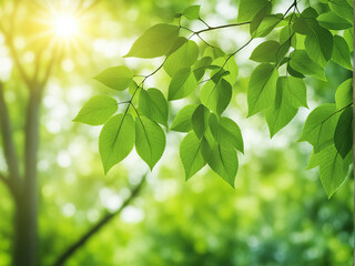 Fototapeta na wymiar Closeup beautiful view of nature green leave