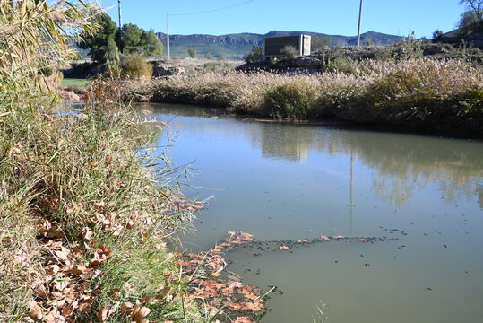 Paisaje de presa en rio, humedal para hidratar animales