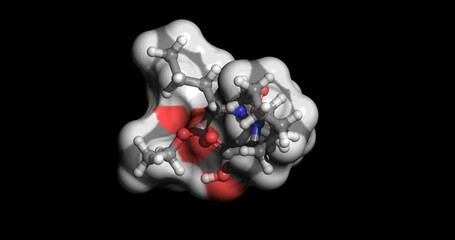 Perindopril, prodrug for hypertension and congestive heart failure, 3D molecule spinning, 4K