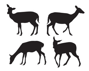 Vector set of black standing and walking doe silhouettes on white background