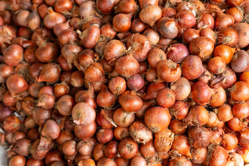 Full Fresh whole purple onions