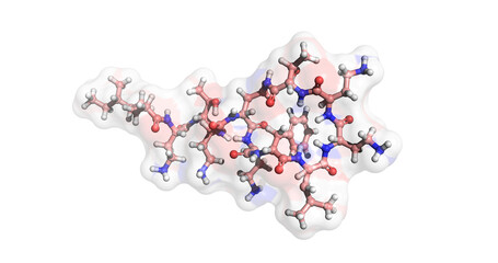 Polymyxin B, antibiotic for treatment of a wide variety of infections, 3D molecule 4K