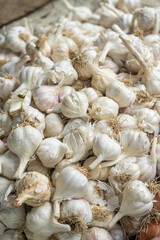 Deshi organic garlic
