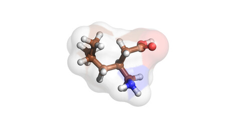 Pregabalin, anticonvulsant drug for treatment of neuropathic pain conditions and seizures,  3D molecule 4K