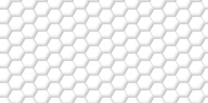 Background hexagons White Hexagonal Luxury honeycomb grid White Pattern. Vector Illustration. 3D Futuristic abstract honeycomb mosaic white background. geometric mesh cell texture. © MdLothfor
