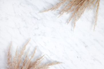 pampas grass on a marble table