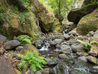 View of small water stream with moss covered stones, fern and tropical plants at hiking trail Levada do moinho to levada nova waterfall. Madeira, Portugal