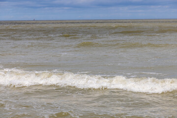 Beach, water, sand and waves birds Belgium 