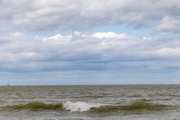 Beach, water, sand and waves birds Belgium 