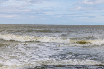 Beach, water, sand and waves birds Belgium 