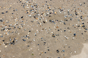 Fototapeta na wymiar Beach, water, sand and waves birds Belgium 