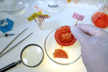 Laboratory procedure for food safety, laboratory technician labels a tomato from a greenhouse with a plate with the number of a food additive.