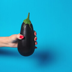 Woman's hand holding eggplant on blue background. Minimal concep