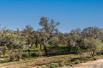 Road of a thousand Kasbahs is a spectacular drive winding through stunning desert landscapes.