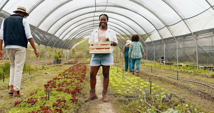 Black woman, greenhouse or face of farmer with basket of vegetables, harvest or fresh produce. Farming sustainability, agriculture or happy worker with crate of organic crops, natural or healthy food