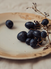 Minimal still life: Vertical close up shot of black grapes on a vintage beige plate.