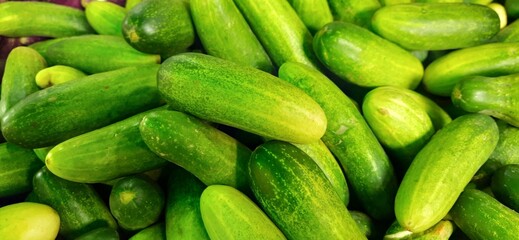 Close up of heap cucumbers placed on stall of market ready to sold. Cucumber background