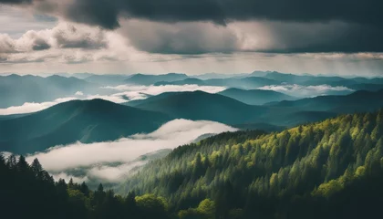 Cercles muraux Montagnes Amazing wild nature view of layer of mountain forest landscape with cloudy sky. 