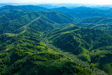 Naklejka na ściany i meble Drone view on forested mountain peaks, beautiful valleys, wildlife of Kazakhastan
