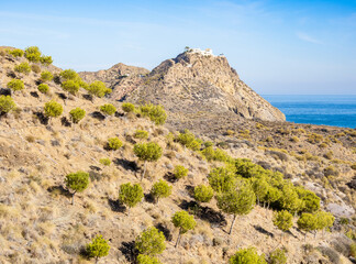 Fototapeta na wymiar Views of trees and arid mountains near Mojacar town, Cabo de Gata, Spain