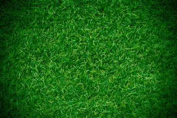 Poster Green grass texture background grass garden concept used for making green background football pitch, Grass Golf, green lawn pattern textured background. © Sittipol 