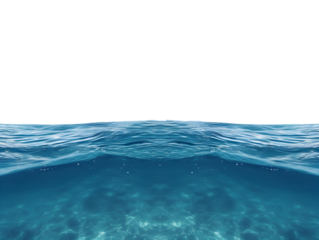 Underwater on transparent background