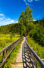 Fototapeta na wymiar walk along ecotrope in the forest or on the swamp and lake. autumn landscape in suburbs. there are no people on the wooden paths in the nature reserve, national forest and park. a beautiful