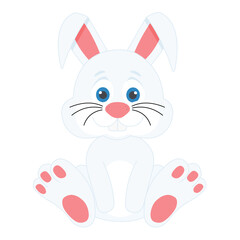 Cute bunny
